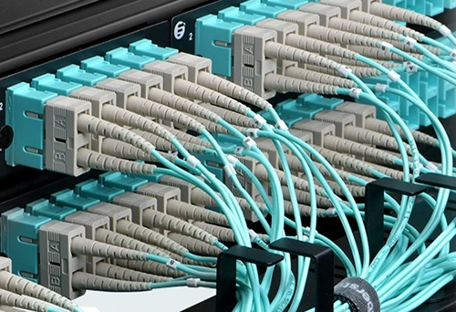 Backbone Network Services